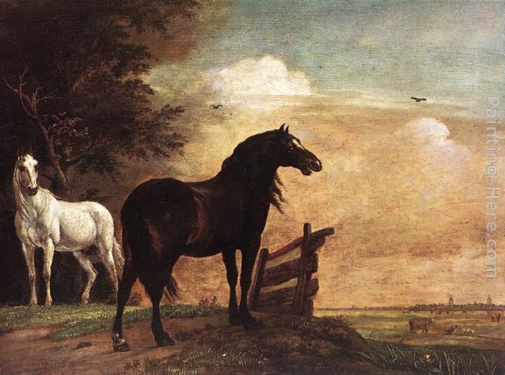 Horses in a Field painting - Paulus Potter Horses in a Field art painting